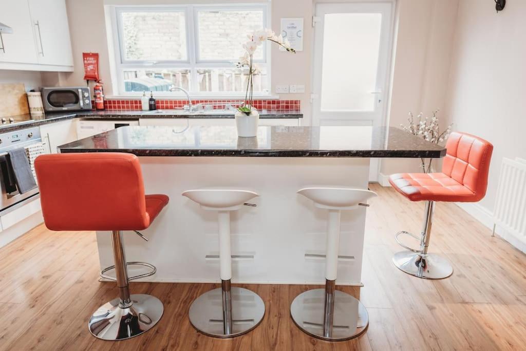 Trish's Townhouse For Eats-arts-drinks-parks! Apartment Belfast